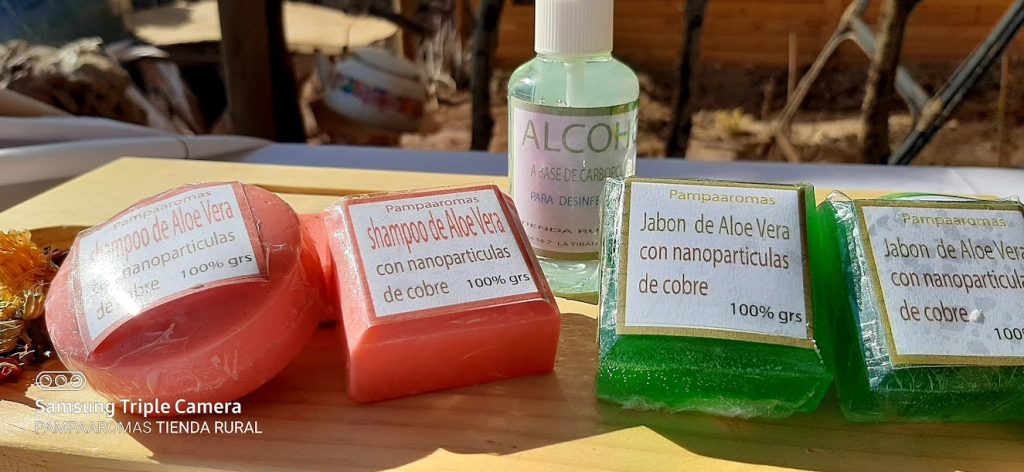 Shampoo Natural con Aloe Vera