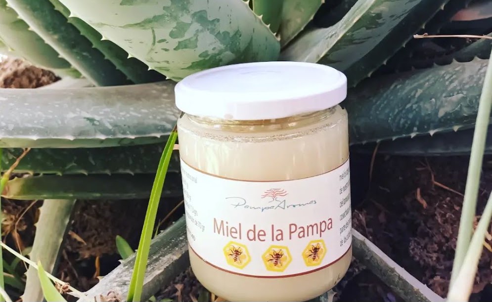 Miel Natural Pampaaromas