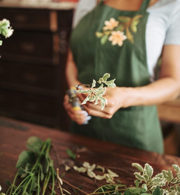 close-up-woman-s-hand-holding-plant